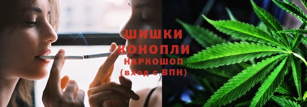 сатива Нягань