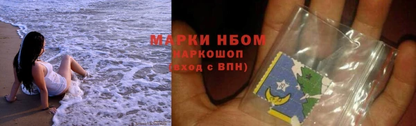 прущие грибы Баксан