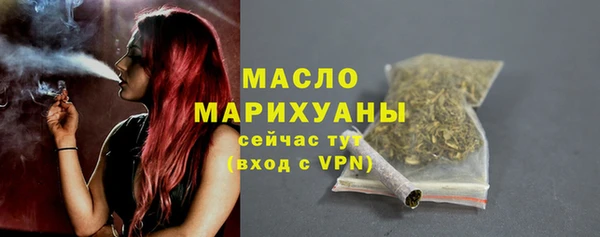 гашик Няндома