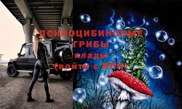 тгк Арсеньев