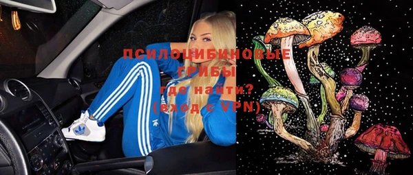 прущие грибы Баксан
