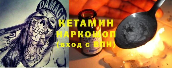гашик Няндома